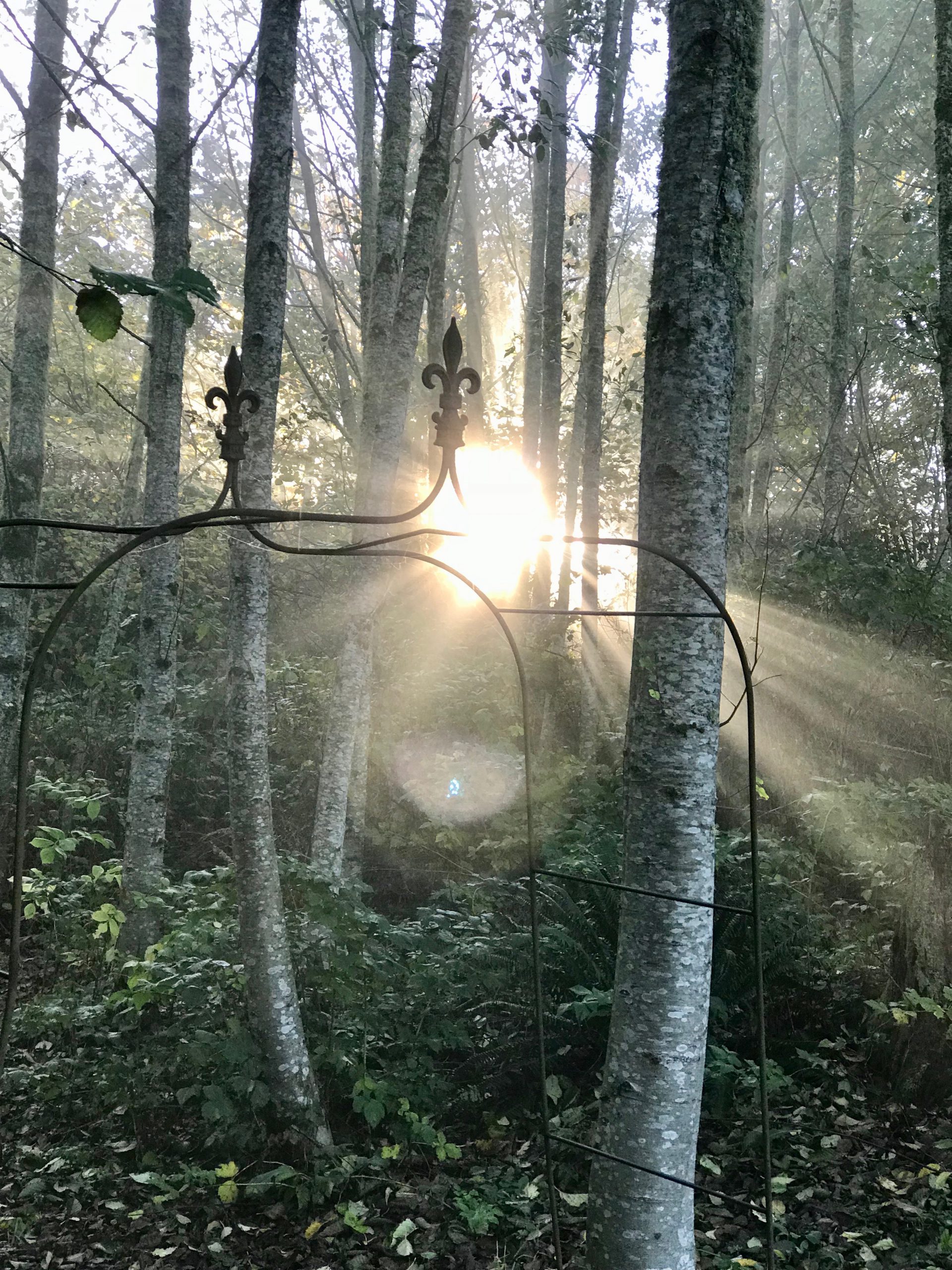 NHF Issues Challenge For Hospitals To Begin Vitamin D3 Testing