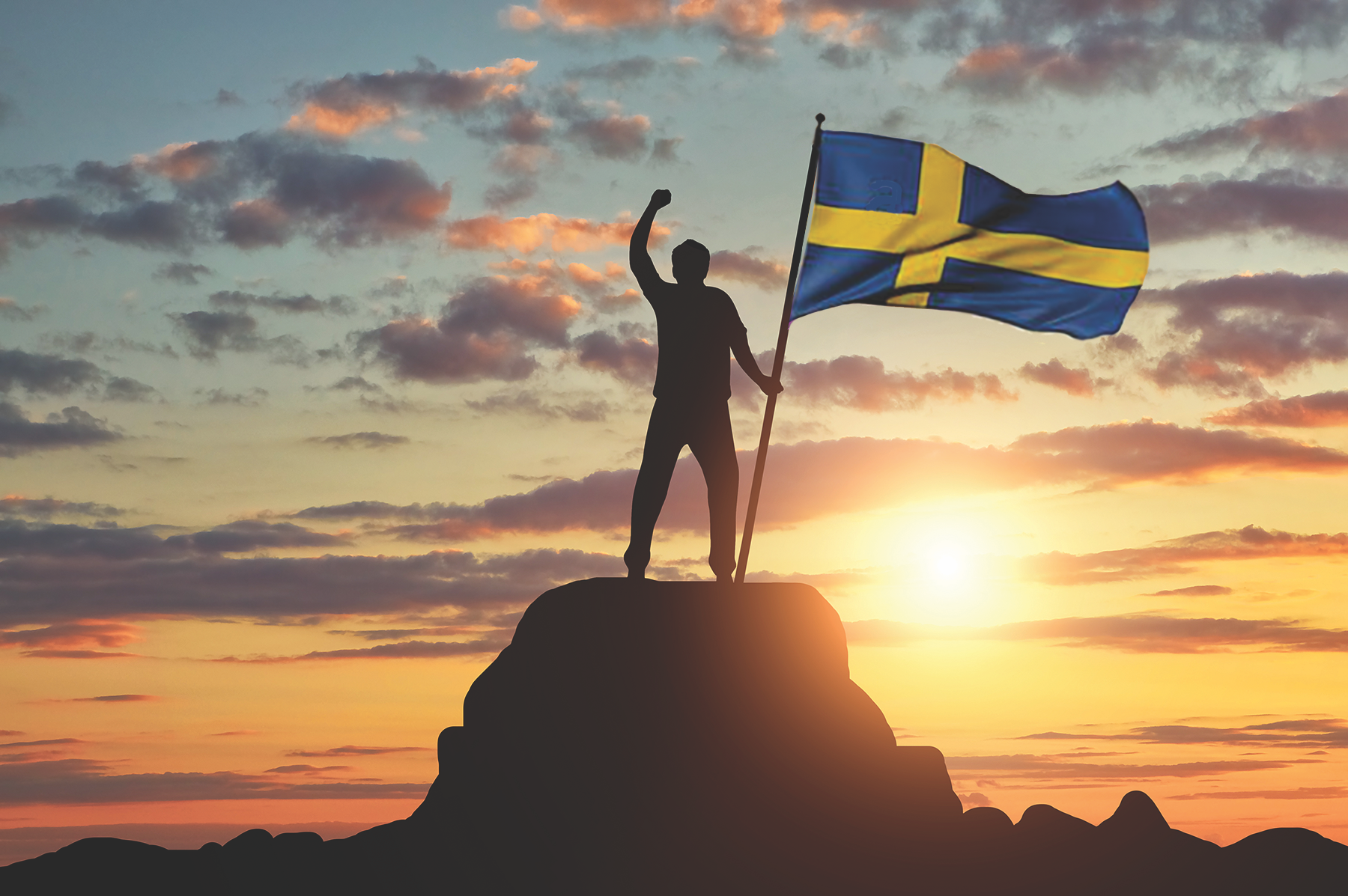 Victory in Sweden – NHF-Sweden Wins a Voice