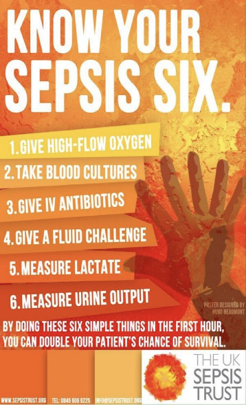 COVID-19, COBALAMIN / B12, AND SEPSIS: A Left-of-Field Solution